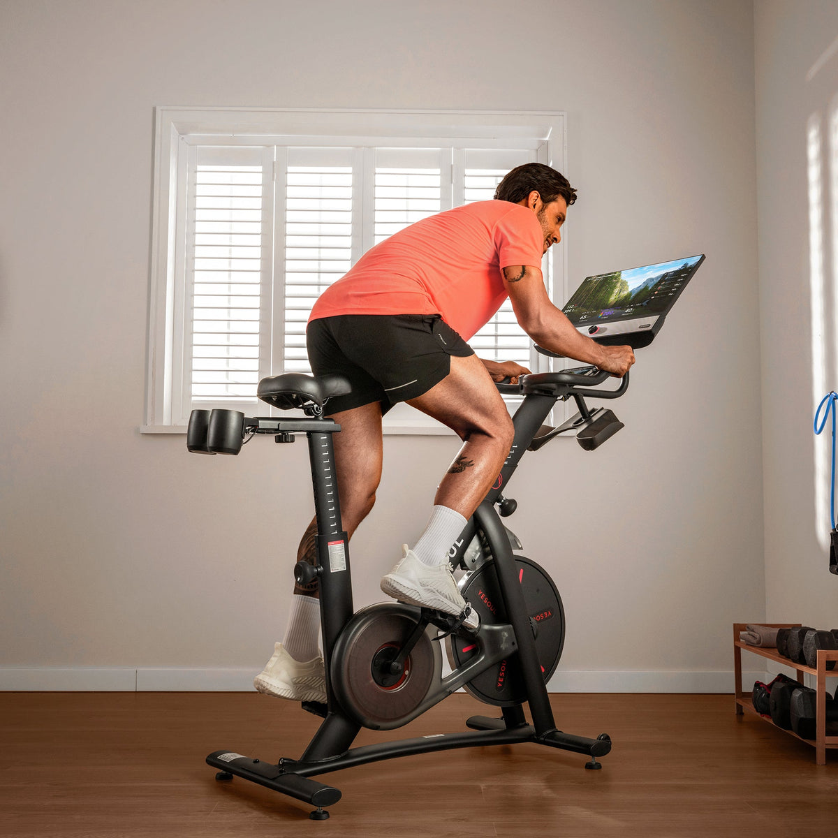 YESOUL G1M Max Heimtrainer